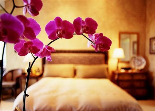 Davanzati Hotel Florenz